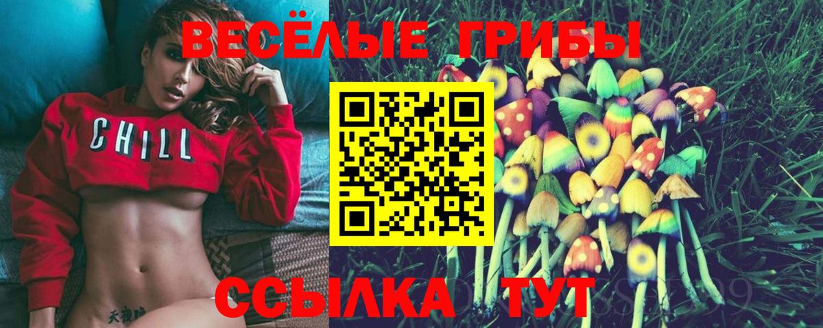 Коряжма  Галлюциногенные грибы мицелий  Вход с VPN  Галлюциногенные грибы ЛСД 